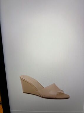 Tuckernuck Nude/Tan Wedge Slide Sandal